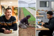 Initiatives municipales exemplaires : logement, école et environnement en première ligne