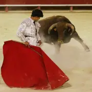 Jules Dujols, 17 ans, rêve de devenir matador entre les Landes et l'Andalousie