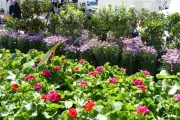 La 35e Fête des Jardins d'Antibes mise sur la jeunesse et l'innovation