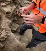 La domestication des chiens en Europe remonte à 16 000 ans, révèlent des analyses génétiques