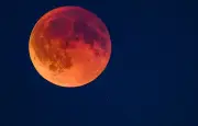 La Lune de sang : un phénomène cosmique rare à observer en ligne