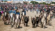 L'Abrivado des plages 2026 : la saison taurine démarre en force au Grau-du-Roi