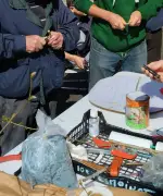 L'association Trukatu initie au greffage d'arbres fruitiers pour une agriculture durable