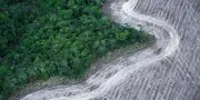Le Brésil fait de la lutte contre la déforestation la priorité de son nouveau plan climatique