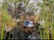 Le Cabinet de Curiosités ouvre sa saison culturelle avec Monet et le Japon