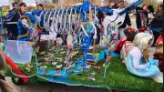 Le carnaval des insectes anime Sommières avec un défilé coloré et festif