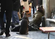 Le Conseil de l'Europe condamne les arrêtés anti-mendicité en France