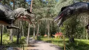 Le Dinopedia Parc de Mende placé en redressement judiciaire, l'avenir incertain