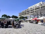 Le Green Market végétal confirme son ancrage à Bordeaux avec succès