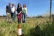 Le lycée agricole de Hyères lance sa première cuvée 100% pédagogique