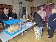 Le maire sortant Louis Cavaleiro réélu dès le premier tour à Étauliers face au RN