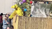 Le Marsupilami illumine le Carnaval de Vendargues avec un défilé festif