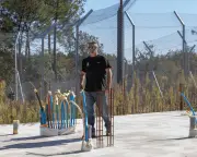 Le ministre de la Transition écologique rejette le projet de sanctuaire Big Cats à Mézos