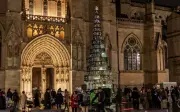 Le nouveau maire de Bordeaux sacrifie le sapin en verre pour un « vrai » sapin de Noël