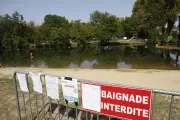 Le Parc Périgord-Limousin face au changement climatique : un diagnostic alarmant pour 2050