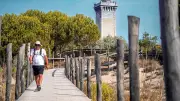 Le phare de l'Espiguette dévoile ses animations nature pour avril 2026