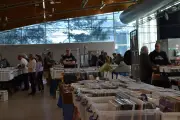 Le Printemps du disque de Mérignac attire les collectionneurs malgré une fréquentation en baisse
