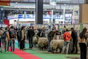 Le Salon de l'Agriculture 2026 enregistre une chute de fréquentation de 27,9%