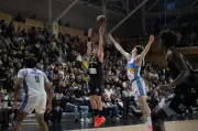 Le Stade Rochelais impressionne face aux Sharks d'Antibes en Pro B