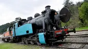 Le Train des Cévennes célèbre ses 40 ans avec une ouverture spéciale en 2026