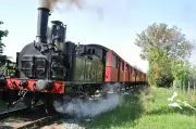 Le Train des Mouettes : 42 ans d'histoire ferroviaire en Charente-Maritime