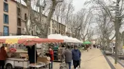 Élections municipales 2026 à Agde : le marché de la Promenade, miroir d'un scrutin aux intérêts divergents