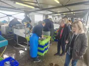 Élections municipales à Capbreton : le marché aux poissons ressent l'effet du scrutin