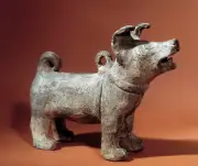 Les chiens, compagnons de l'homme depuis au moins 16 000 ans, leur origine reste un mystère fascinant