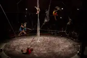 Les Funambules Colporteurs célèbrent 30 ans de spectacle itinérant sans perdre le fil