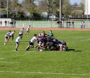 L'UBB s'impose face à Colomiers grâce à une première mi-temps dominatrice