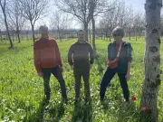 Marmande célèbre la 2e édition de la Fête de la tulipe sauvage ce dimanche