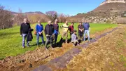 Millau : 400 plants arbustifs plantés pour une haie écologique à La Graufesenque