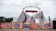 Montpellier : deux trapézistes chutent de 3,50 mètres lors d'un spectacle de cirque