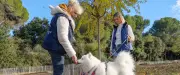 Montpellier relance ses séances gratuites d'éducation canine jusqu'en juin