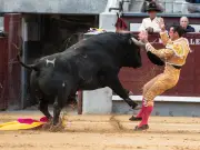 Morante de la Puebla fait exploser les ventes de billets de corrida en Espagne