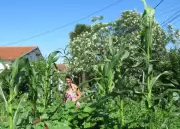 Narrosse lance un cycle printanier de permaculture : conférence et ateliers pratiques