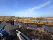 Nouvelle-Aquitaine : un paradis pour l'observation des oiseaux migrateurs et sédentaires