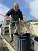 Ouverture de la pêche à la truite : des milliers de poissons déversés dans la Boutonne et la Nié