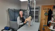 Ouverture d'un salon de toilettage pour animaux à Langogne, Lozère