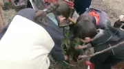 Plus de 50 enfants plantent 890 arbres fruitiers pour la biodiversité en Gard