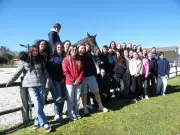 Portes ouvertes du lycée agricole Saint-Antoine : concours équestre et marché local
