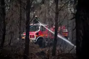 Premier incendie de forêt 2026 dans les Landes : 3 385 m² de pins ravagés à Mazerolles
