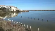 Rando zen pour les droits des femmes dans les salins de Frontignan ce dimanche