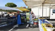 Retour des coquillages et poissons au marché dominical du Crès dans l'Hérault