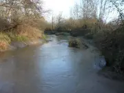 Réunion publique sur l'inventaire des zones humides en Gironde