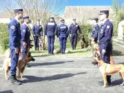 Rusti, chien gendarme des Landes, honoré après son décès à la caserne de Parentis