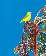 Saisons : le magazine qui réinvente l'écologie positive et sensorielle