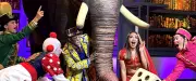 Sorties à Montpellier ce dimanche 15 mars : cirque, loto solidaire et fête foraine