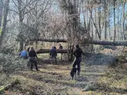 Sos : le maire Didier Soubiron salue la mobilisation après les tempêtes