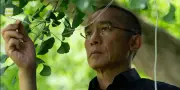 Tony Leung révèle sa solitude dans 'Silent Friend' : 'J'ai construit un mur'